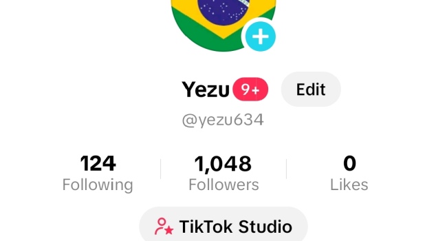 TikTok Brazil Account